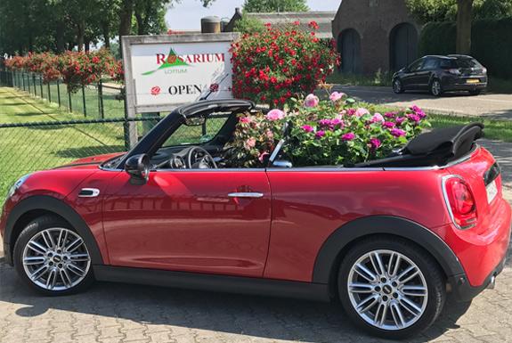 Rosarium Lottum | Ontdek de omgeving van Parkhotel Bad Arcen
